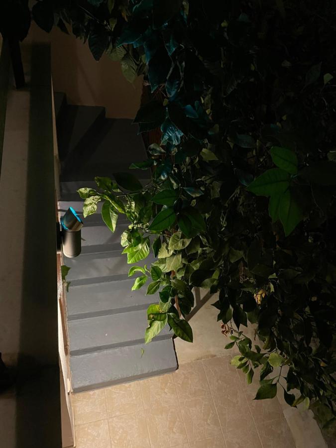דירות Maria'S Haus In Artemida מראה חיצוני תמונה