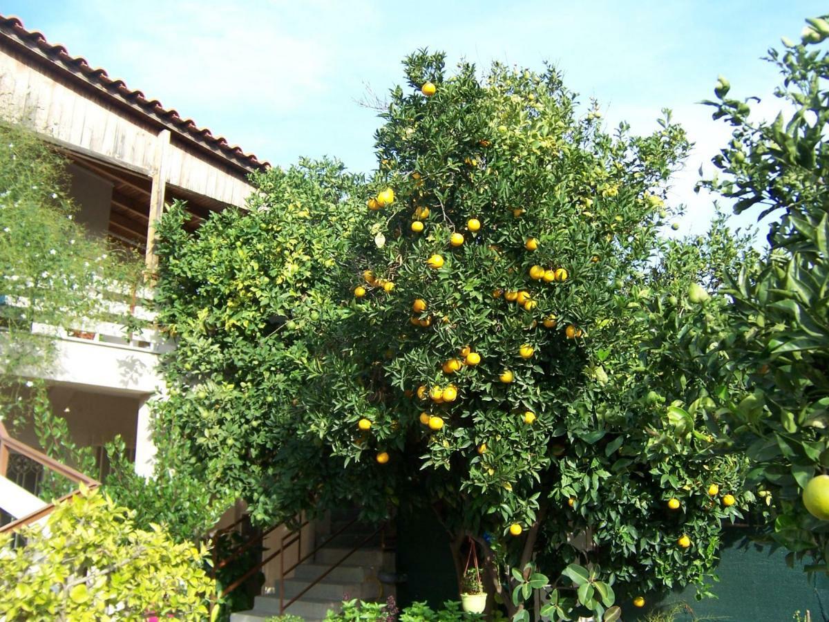 דירות Maria'S Haus In Artemida מראה חיצוני תמונה